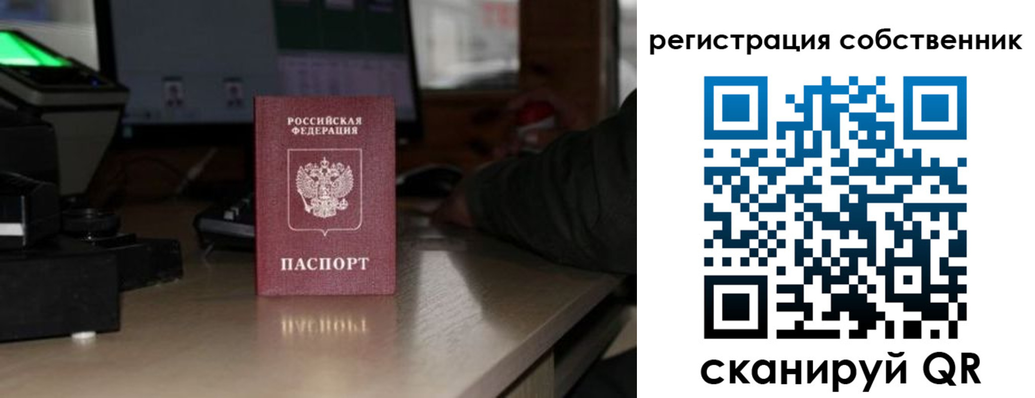прописка поиск в Фокино